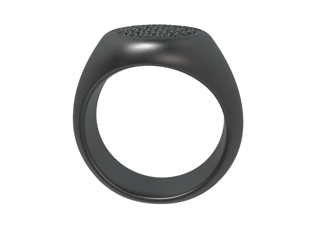 Regal Oval Signet Ring