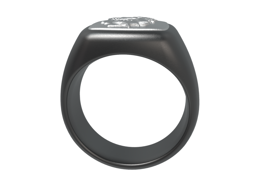 Galea Square Signet Ring