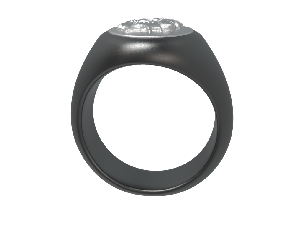 Galea Oval Signet Ring